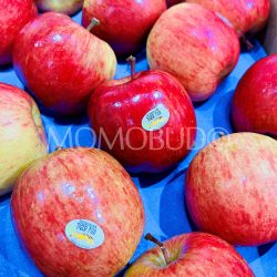Tasmanian Tiger Fuji Apples 1 Tasmanian Tiger Fuji Apples 1