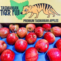 Tasmanian Tiger Fuji Apples Tasmanian Tiger Fuji Apples