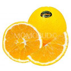 Australian Loc-Sweet Navel Orange