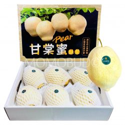 Gantang Honey Golden Pear Box 3.7kg (Jumbo)