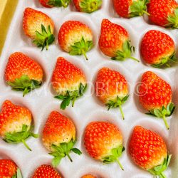 Japanese Hirugano Plateau Minohime Strawberries Japanese Hirugano Plateau Minohime Strawberries