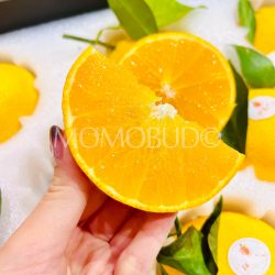 Premium China Red Beauty Mandarin Orange slice Premium China Red Beauty Mandarin Orange slice