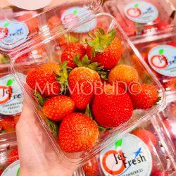 USA Jet Fresh Strawberries