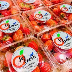 USA Jet Fresh Strawberry (250g punnets) 1