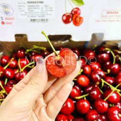 Argentina Onyx Frisco Red Cherry