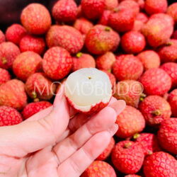 Australian Baitangying Lychee flesh