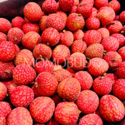 Australian Baitangying Lychees