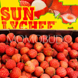 Australian Baitangying Lychees