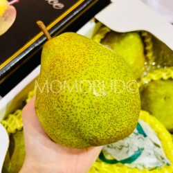 Japanese Super 14 Brix La France Pear