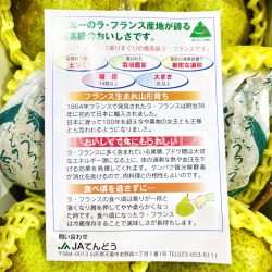 Japanese Super 14 Brix La France Pear brochure back