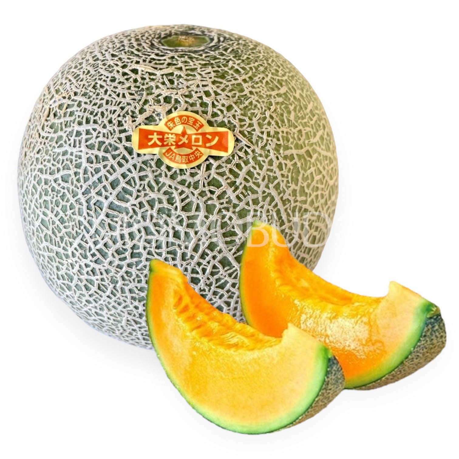 Muskmel Japanese Tottori Primo Red Muskmelon (Large, 1.5kg approx) — MomoBud