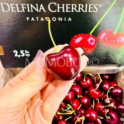 Patagonia Delfina Santina Red Cherry 1