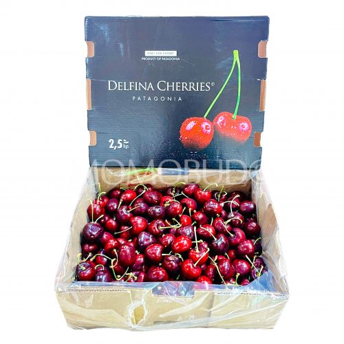 Patagonia Delfina Santina Red Cherry Gift Box (2.5kg)
