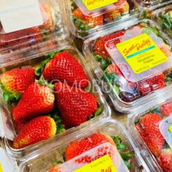 USA Sweet Darling® Strawberry (250g punnets) Big size