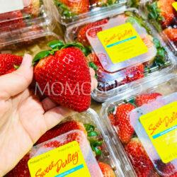 USA Sweet Darling® Strawberry Big size