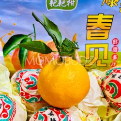 China Chun Jian Papagan Mandarin Orange