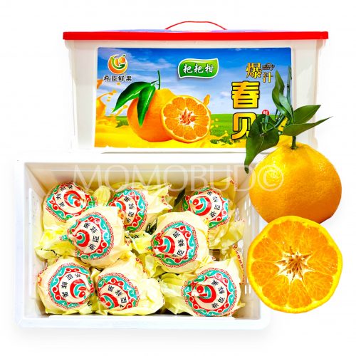 China Chun Jian Papagan Mandarin Orange Gift Box (2.5kg)