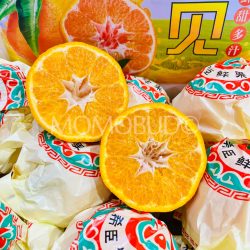 China Chun Jian Papagan Mandarin Orange cross section