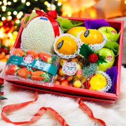 Christmas Gift Set E
