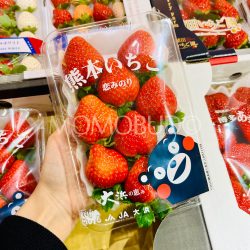 Japanese Kumamoto Ohama Koiminori Strawberry pack