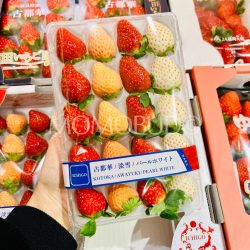 Japanese Nara Trio Color Strawberry Pack