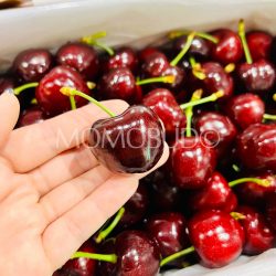 NZ Lani™ Folfer Red Cherry