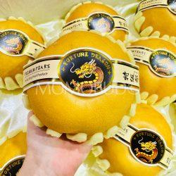 Premium China Nan Shui Pear
