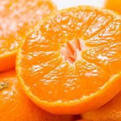 Wakayama Tamura Mikan cross section