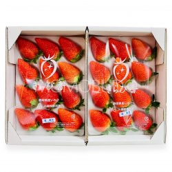 Japanese Jumbo Kirabika Strawberry 500gx2