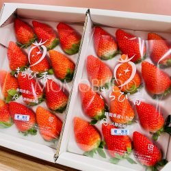 Japanese Jumbo Kirabika Strawberry 500gx2