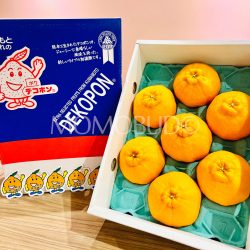 Japanese Kumamoto Dekopon Orange Gift Box (3kg)