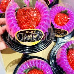 Japanese Nara Strawberry Lab Kotoka Strawberry (40g cup)
