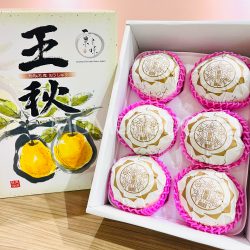 Japanese Tottori Oushuu Nashi Pear Gift Box (3.5kg) 1