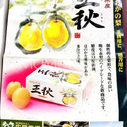 Japanese Tottori Oushuu Nashi Pear brochure