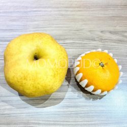 Jumbo Japanese Atago Nashi Pear size comparison 1 Jumbo Japanese Atago Nashi Pear size comparison 1