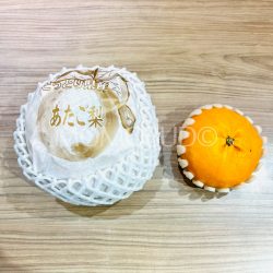 Jumbo Japanese Atago Nashi Pear size comparison Jumbo Japanese Atago Nashi Pear size comparison