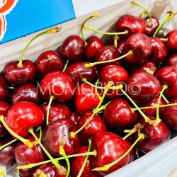 New Zealand Suncrest Orchard Staccato Red Cherries 30mm
