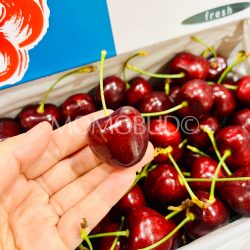 New Zealand Suncrest Orchard Staccato Red Cherry 30mm