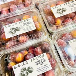 Australian Sutter Sugar Plum 500g punnets Australian Sutter Sugar Plum 500g punnets