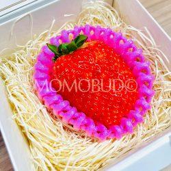 Japanese Nara Strawberry Lab Kotoka Ichigo (Strawberry) (40g)