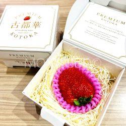 Japanese Nara Strawberry Lab Kotoka Ichigo (Strawberry) (40g Jewelry Box)