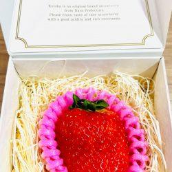 Japanese Nara Strawberry Lab Kotoka Ichigo (Strawberry) (40g Jewelry Box)