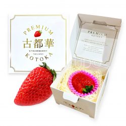 Japanese Nara Strawberry Lab Kotoka Ichigo (Strawberry) (40g Jewelry Box)