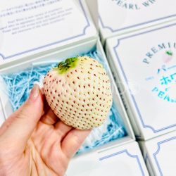 Japanese Nara Pearl White Ichigo (Strawberry)