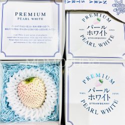 Japanese Nara Pearl White Ichigo (Strawberry) (40g Jewelry Boxes)