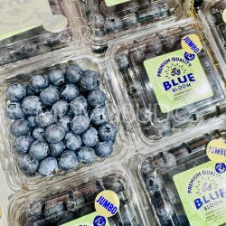 Jumbo Bloom Blueberry (125g punnets)