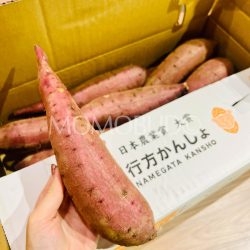 Japanese Benimasari Satsumaimo (Sweet Potato)