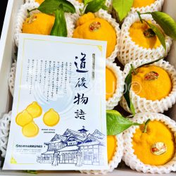 Japanese Dogo Monogatari Dekopon Orange brochure Japanese Dogo Monogatari Dekopon Orange brochure