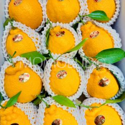 Japanese Dogo Monogatari Dekopon Oranges Japanese Dogo Monogatari Dekopon Oranges