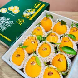 Japanese Ehime Dogo Story Dekopon Orange Gift Box (3kg) Japanese Ehime Dogo Story Dekopon Orange Gift Box (3kg)